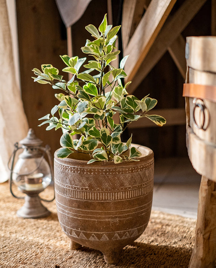 Azura Etched Planter