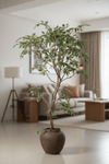 Banyan Tree - Real - Trunk Artificial - Potted plant - 5516314535781 - Tumbleweed Plants - Online Plant Delivery Singapore
