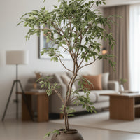 Banyan Tree - Real-Trunk Artificial
