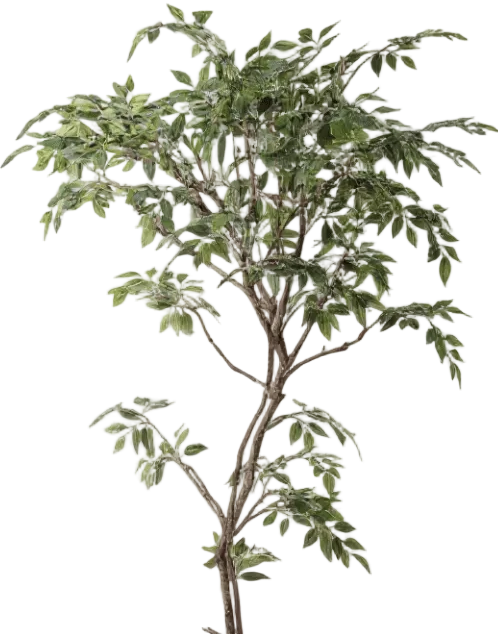 Banyan Tree - Real-Trunk Artificial