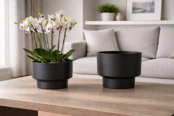 Vela Rise Pot - Medium