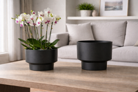 Vela Rise Pot - Medium