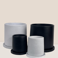 Brindle Pot - Medium