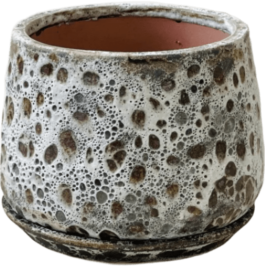 Brown Moon Pot - Large