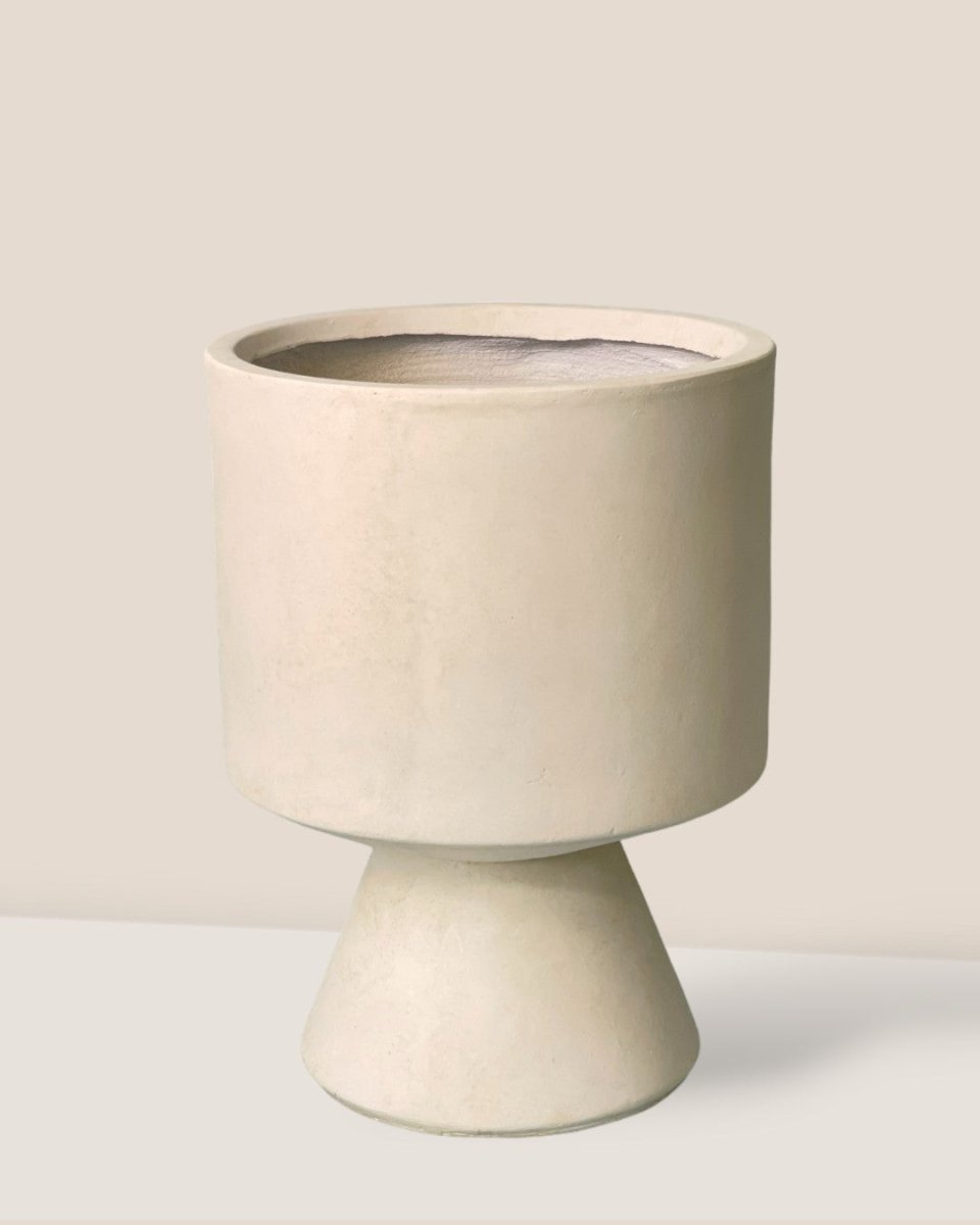 Tumbleweed Plants Celeste Pot
