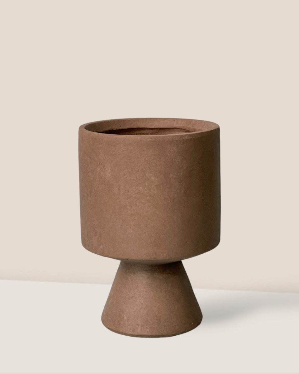 Tumbleweed Plants Celeste Pot - Thumbnail 2