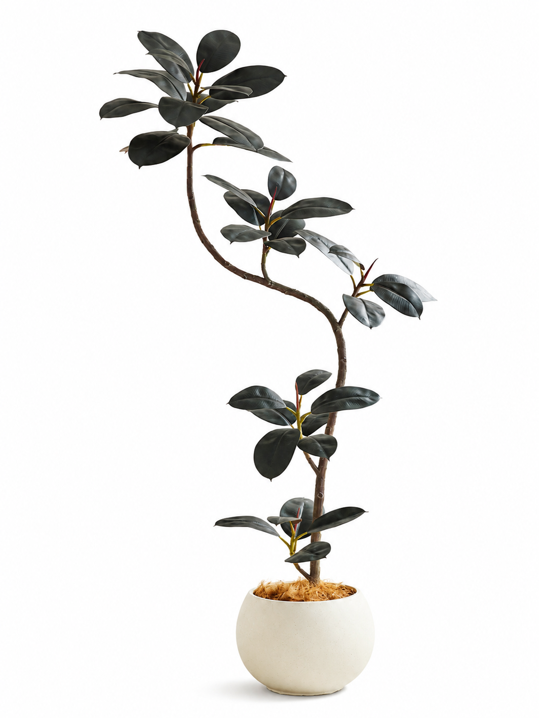 Rubber Tree 1.4m (Life-like Artificial)