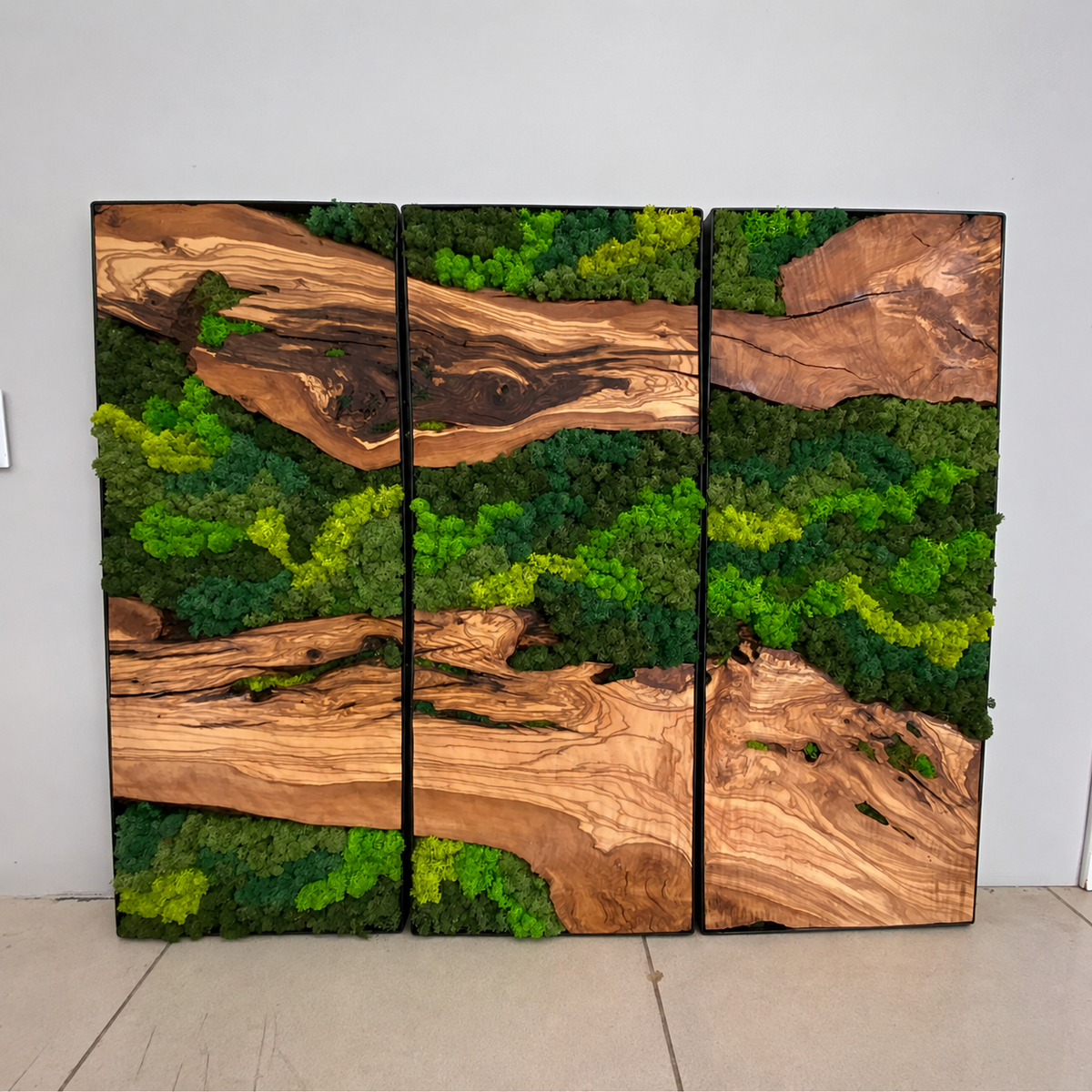 EARTH Frame - Preserved Plants: MOSS.