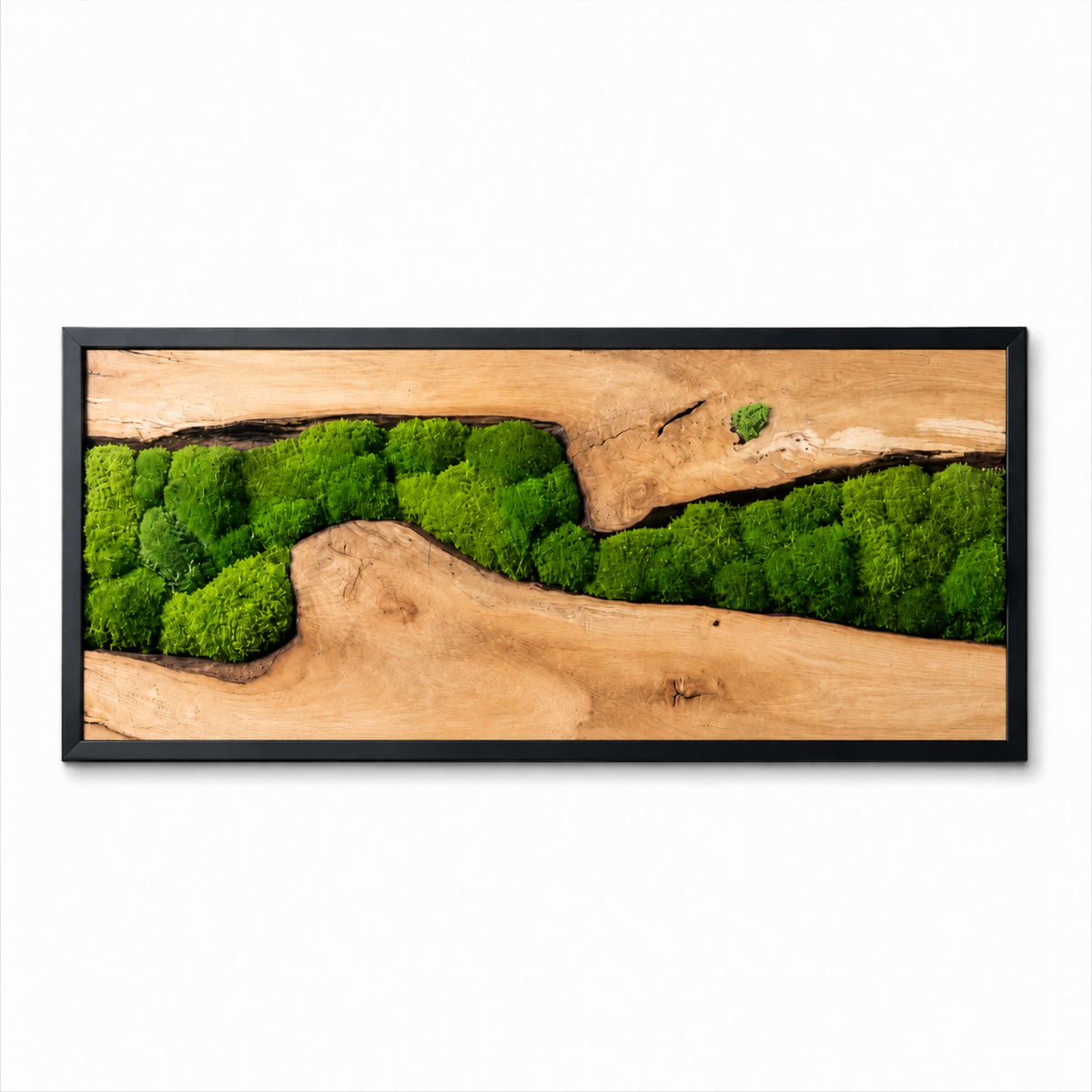 EARTH Frame - Preserved Plants: MOSS.
