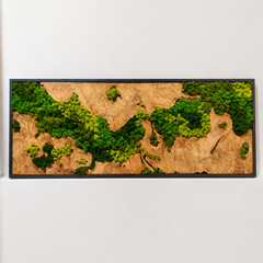EARTH Frame - Preserved Plants: MOSS.