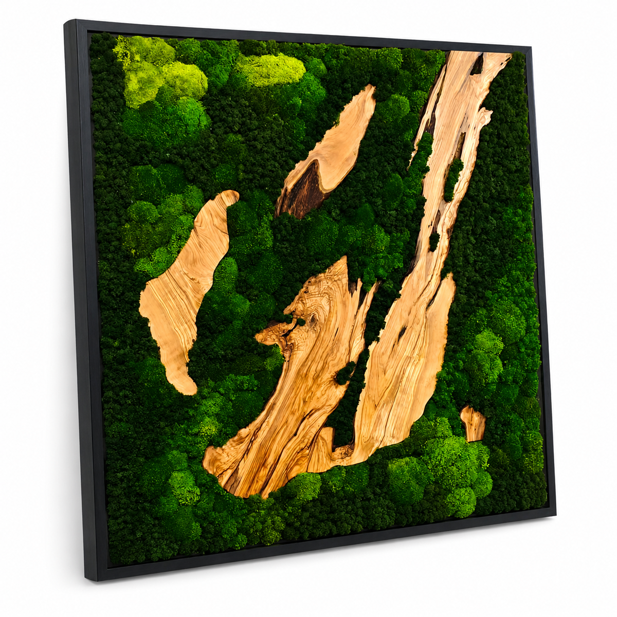 EARTH Frame - Preserved Plants: MOSS.