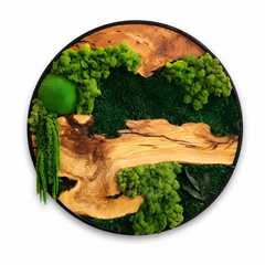 Orb Green - Preserved Plants: MOSS.