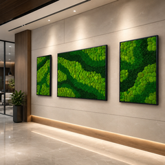Frame - Preserved Plants: MOSS.