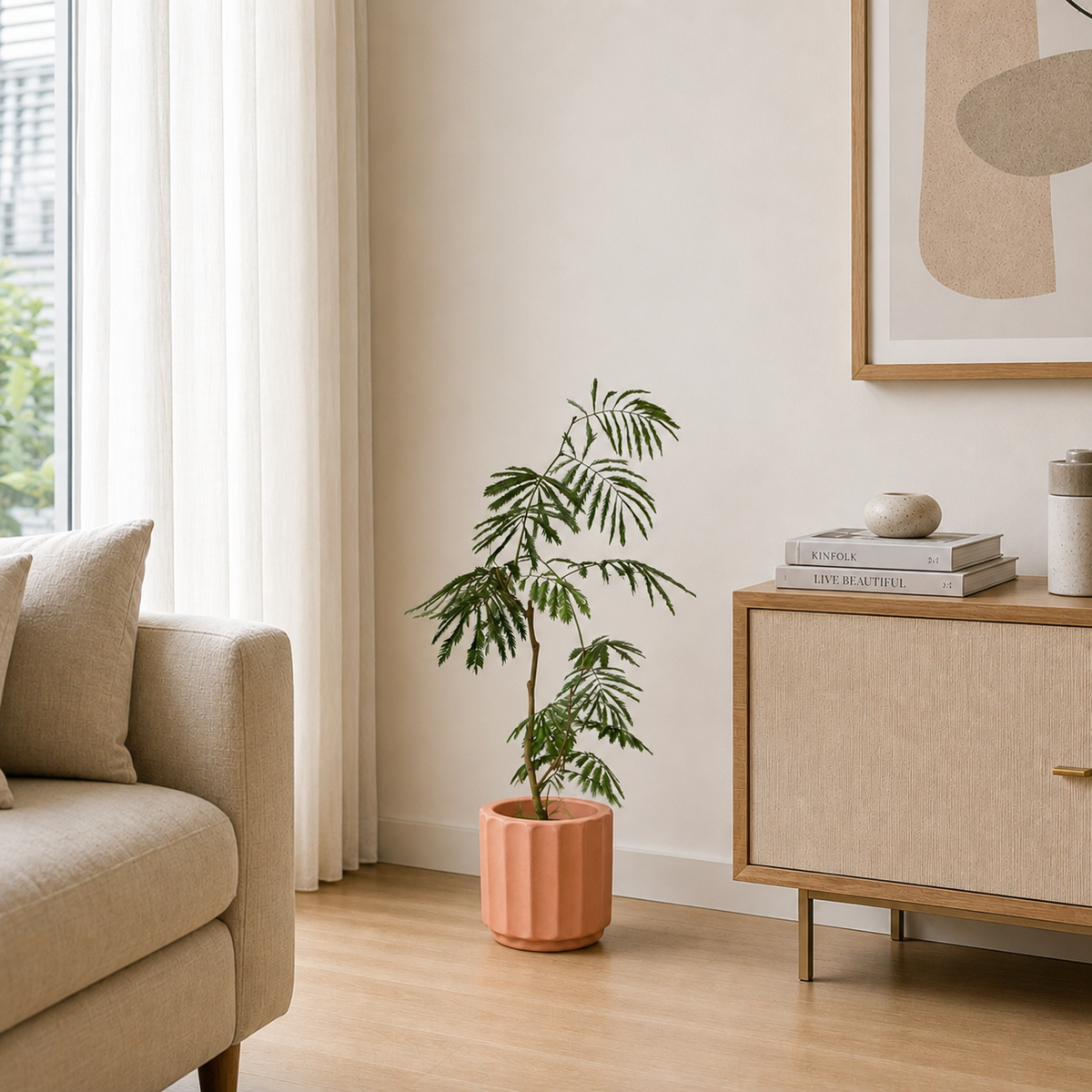 Everfresh Tree (Japan) Junior