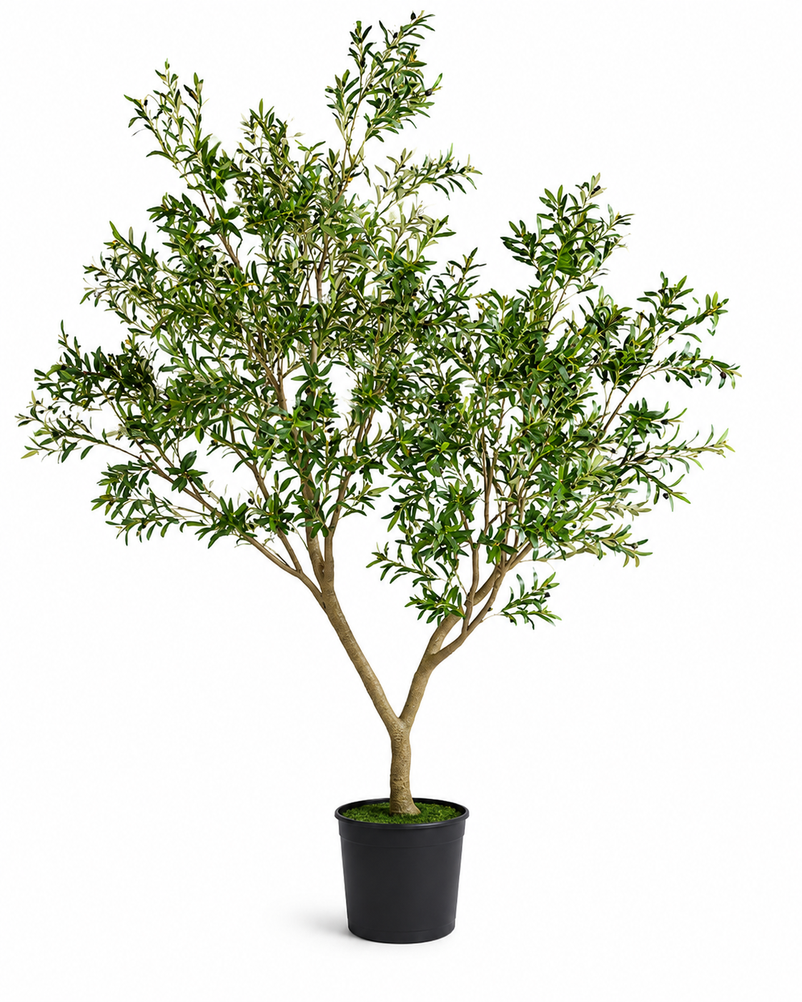 Grow Pot