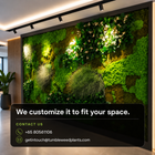 Customized Theme 1