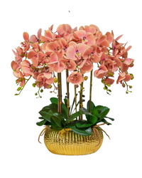 Orchid Arrangement (Faux)