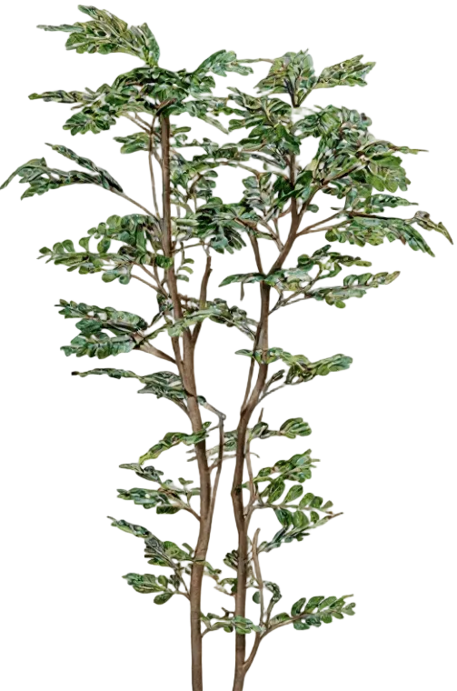 Banyan Tree - Real-Trunk Artificial