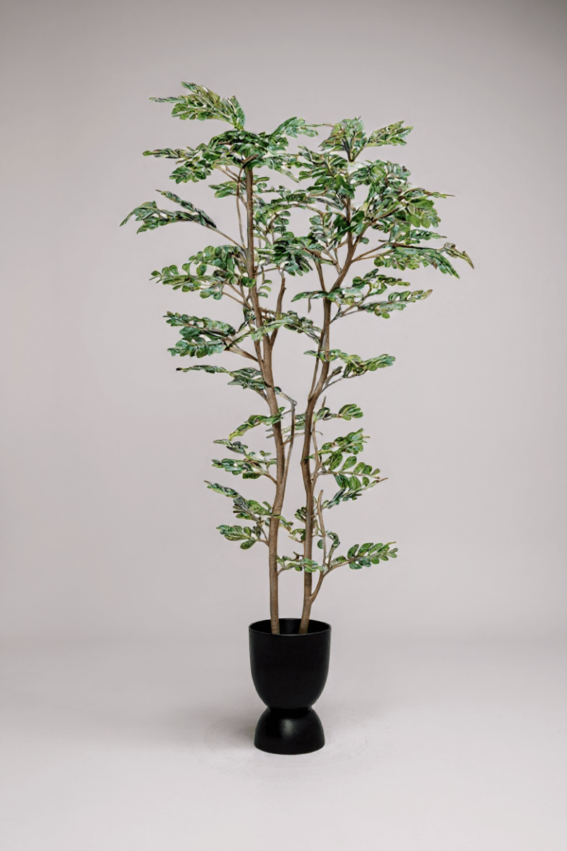 artificial bonsai banyan tree Banyan Tree - Real-Trunk Artificial