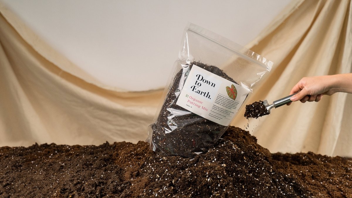 potting mix singapore Down To Earth 01 Organic Potting Mix SG