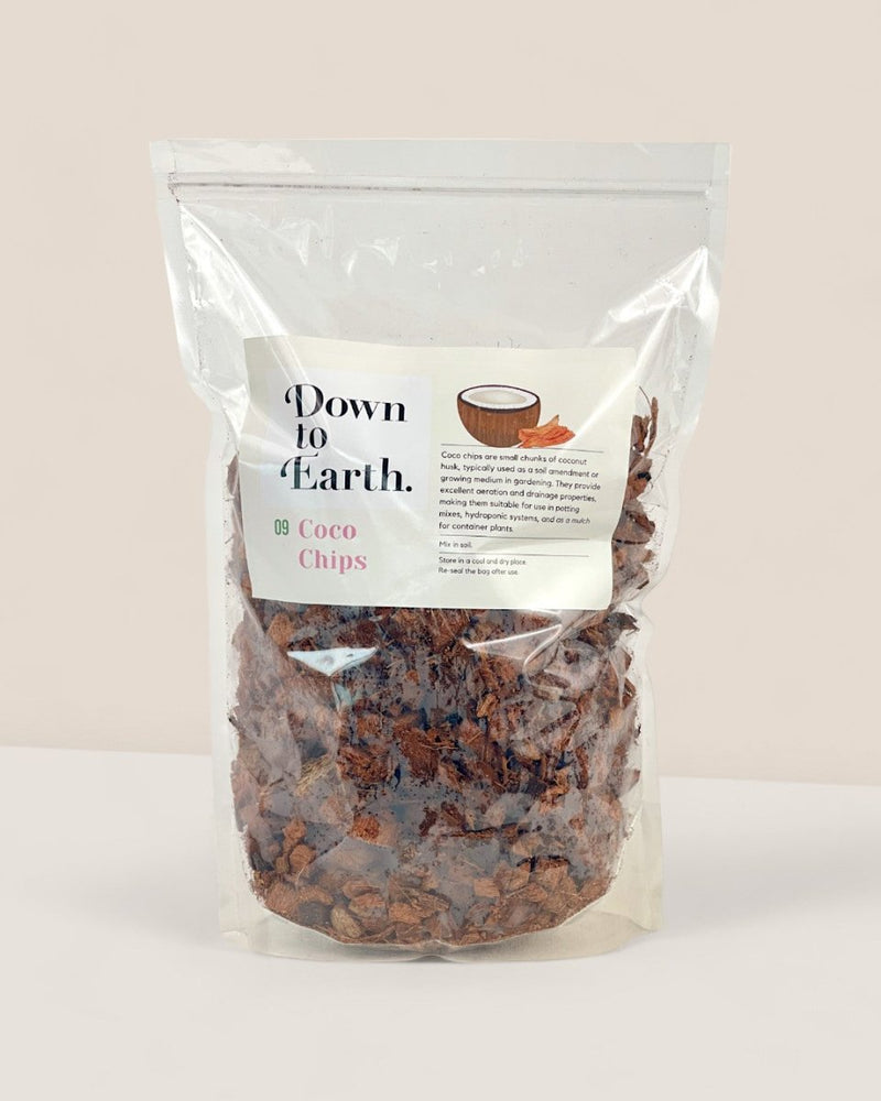 Down To Earth. Coco Chips 09 - Leca balls - Tumbleweed Plants - Online Plant Delivery Singapore