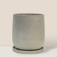 Dusty Grey Cement Planter with Tray - Medium
