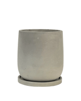 Dusty Grey Cement Planter with Tray - Medium
