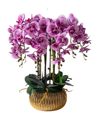 Orchid Arrangement (Faux)