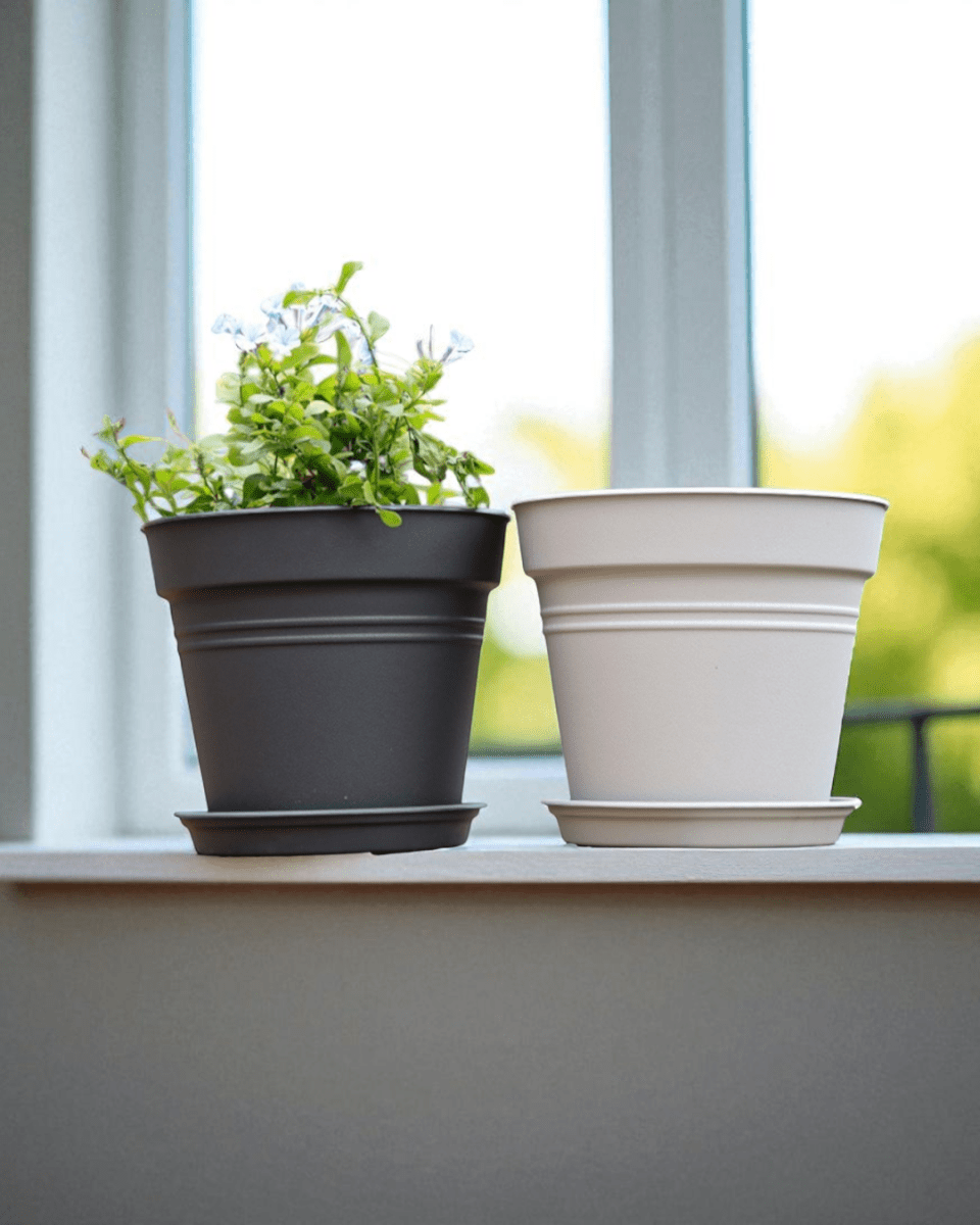 Essential Plastic Pot - Medium - Planter - 5464304794012 - Tumbleweed Plants - Online Plant Delivery Singapore