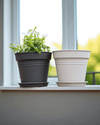 Essential Plastic Pot - Medium - Planter - 5464304794012 - Tumbleweed Plants - Online Plant Delivery Singapore
