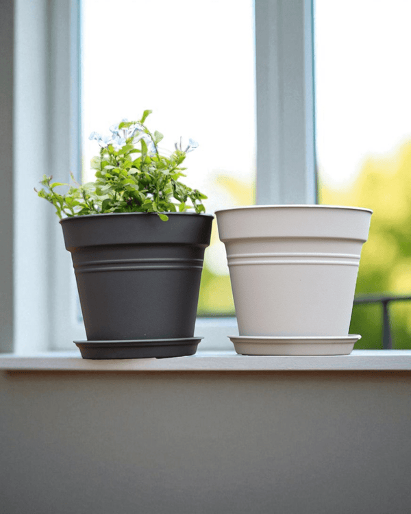Essential Plastic Pot - Medium - Planter - 5464304794012 - Tumbleweed Plants - Online Plant Delivery Singapore