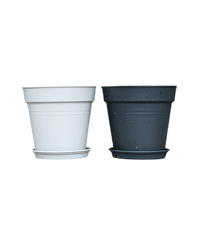 Essential Plastic Pot - Medium - Planter - 5464304794012 - Tumbleweed Plants - Online Plant Delivery Singapore