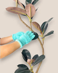 Gloves - Beige - Gloves - Tumbleweed Plants - Online Plant Delivery Singapore