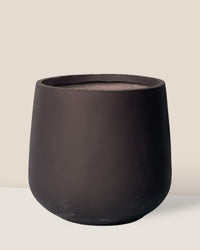 Extra Large Goblet Pot - black - Pot - Tumbleweed Plants - Online Plant Delivery Singapore