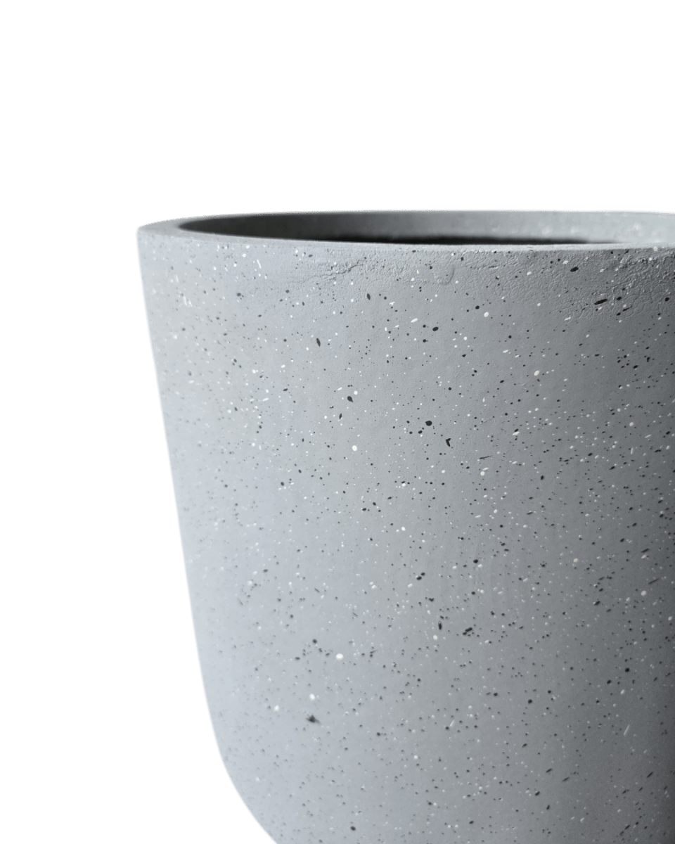 Goblet Pot XL - Pots - POTS - XLGO - STN - 6704 - Tumbleweed Plants - Online Plant Delivery Singapore