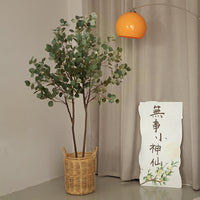Eucalyptus Real-Trunk Artificial - Potted plant -  Tumbleweed Plants