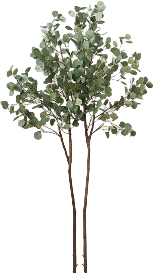 Eucalyptus Real-Trunk Artificial