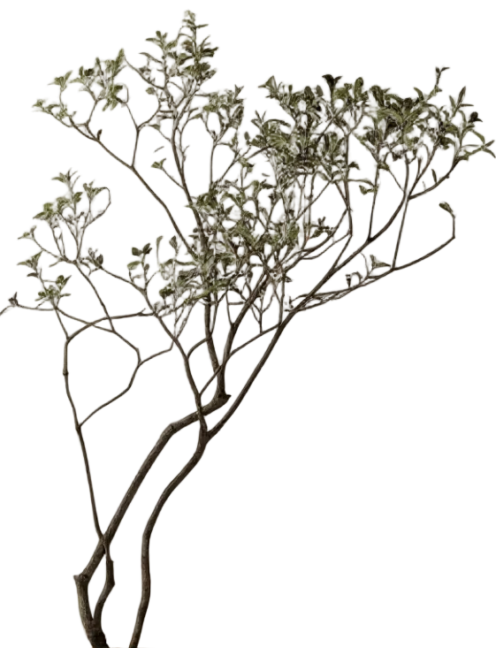 Island Tree - Real-Trunk Artificial