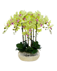 Orchid Arrangement (Faux)