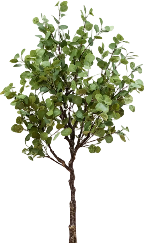 Eucalyptus (Life-like Artificial)