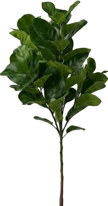 Fiddle-leaf Fig (Life-like Artificial)