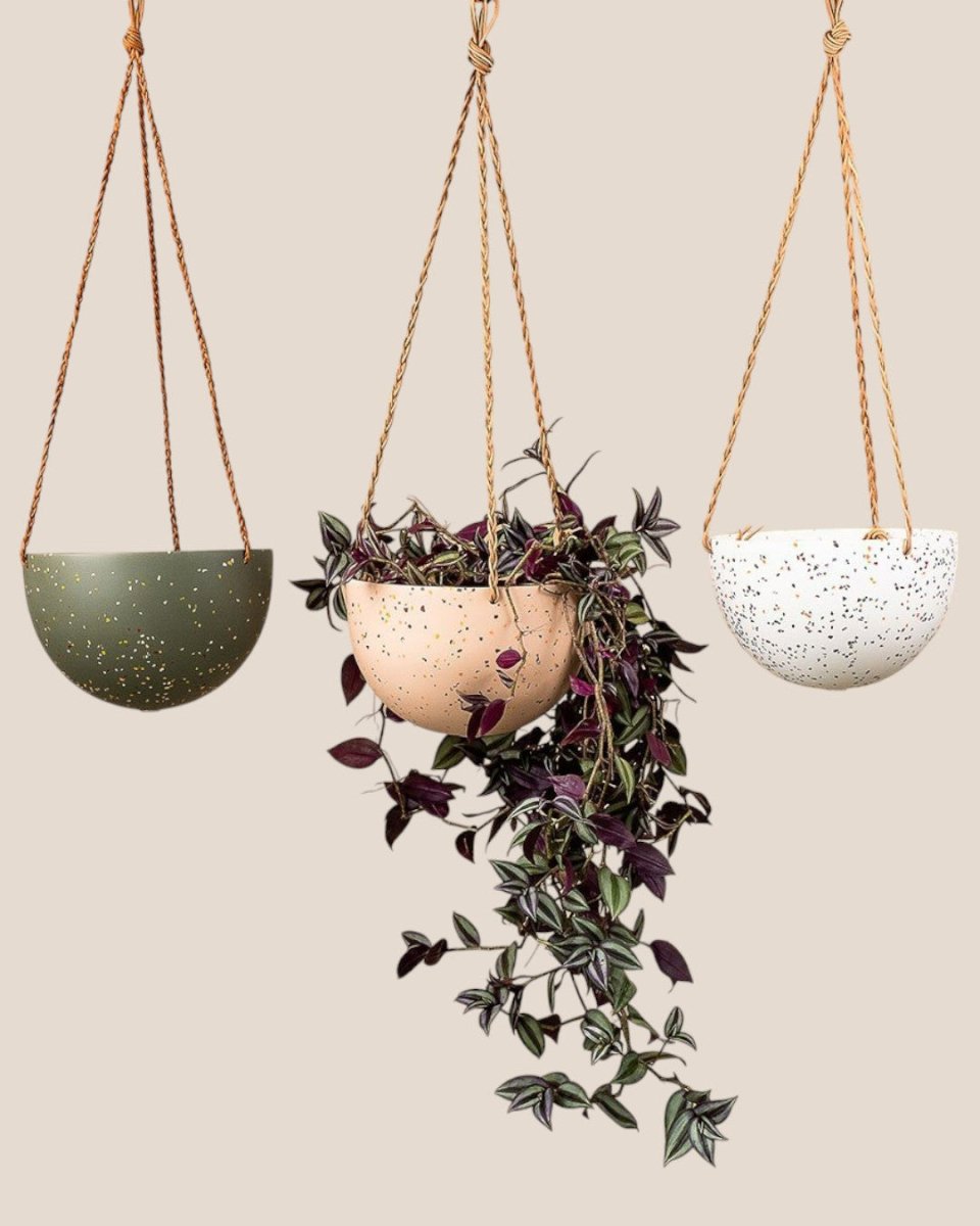 terrazzo hanging planter Capra Designs Hanging Domes - Fast SG Delivery