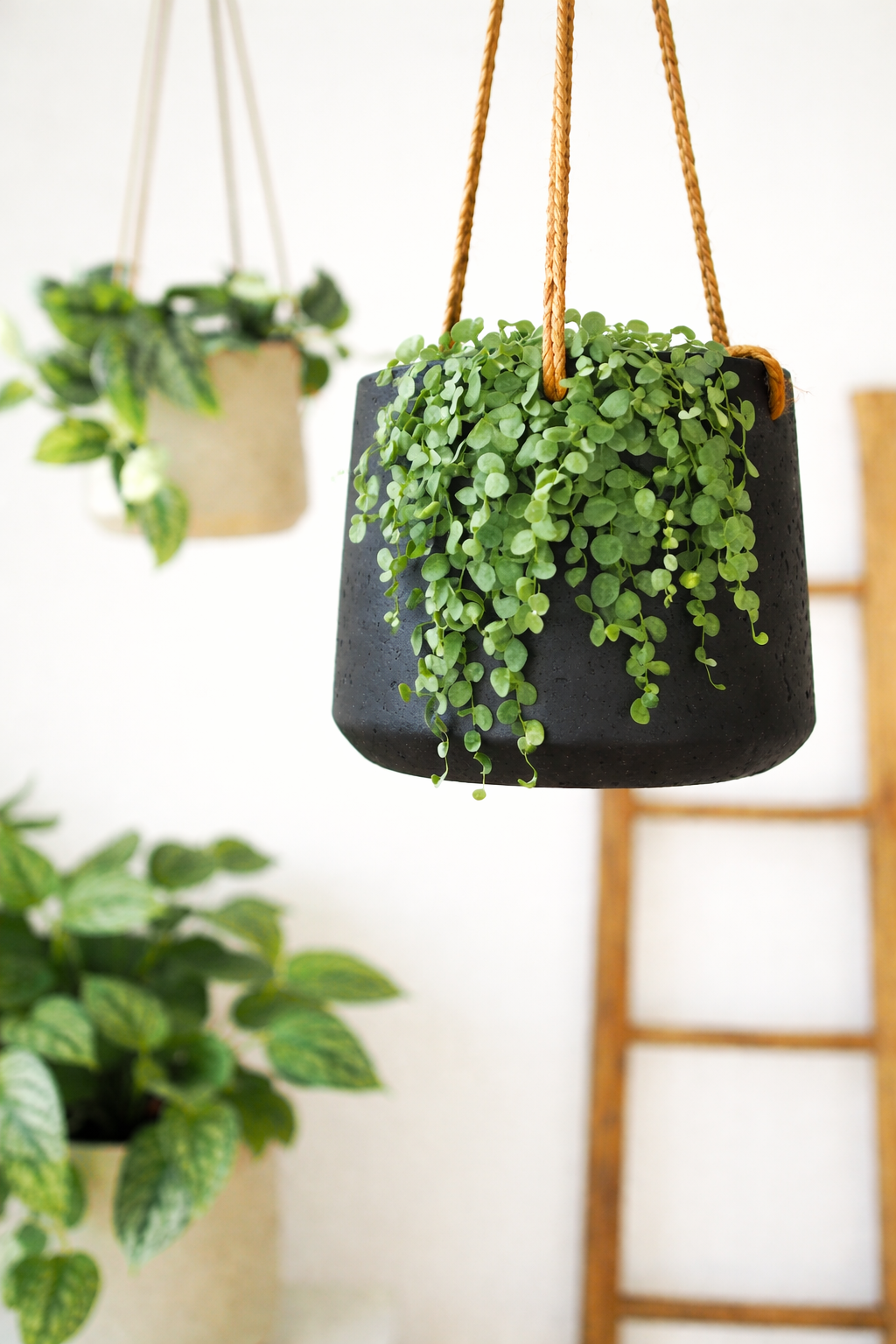 Hanging Nook Pot - Small