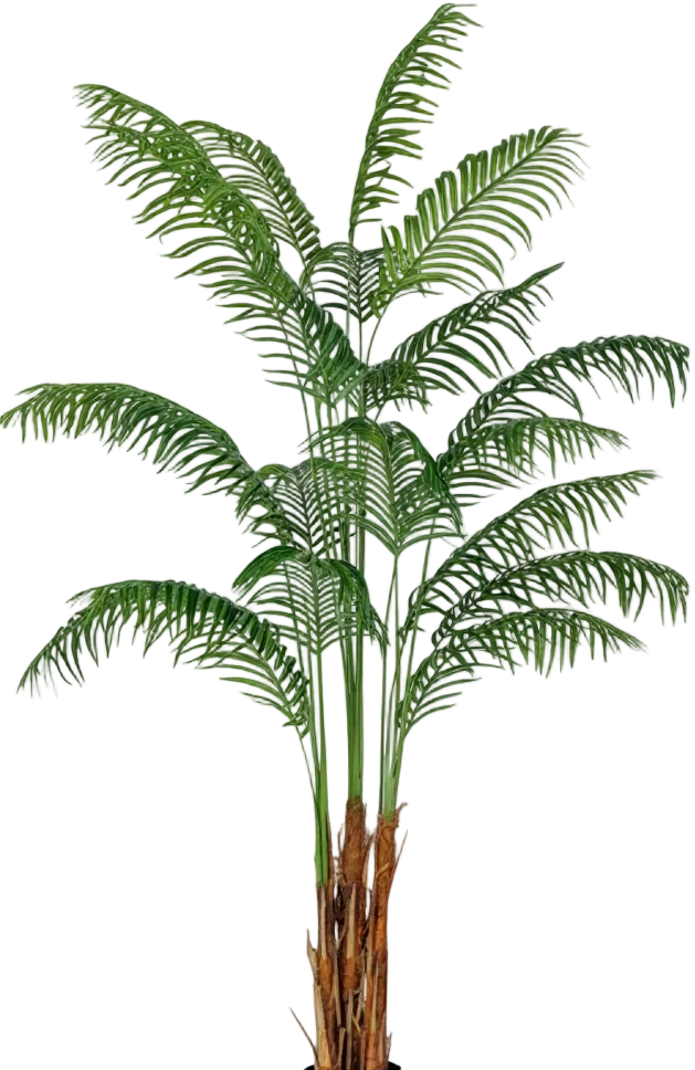 Bamboo Palm (Life-life Artificial)