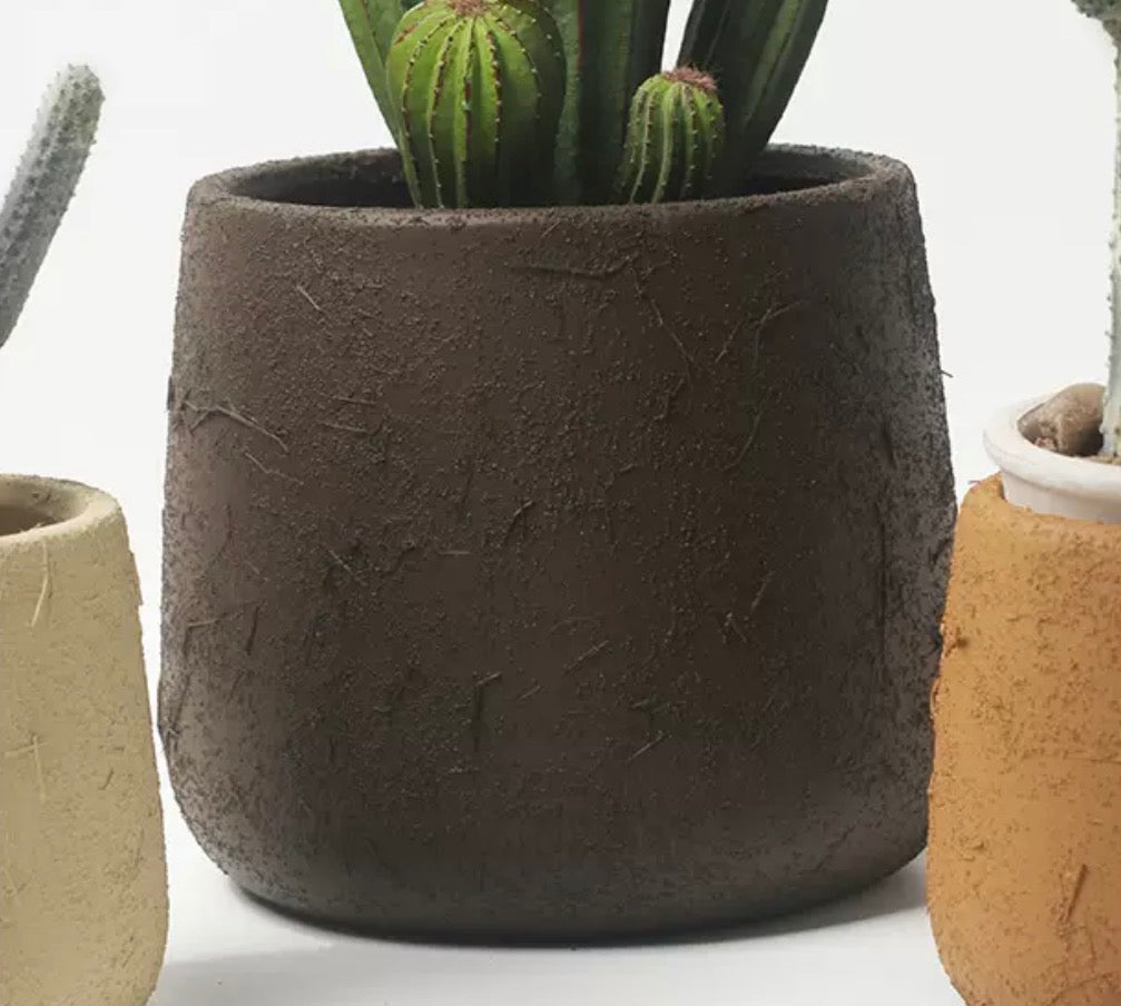 Tulip Terracotta - Small