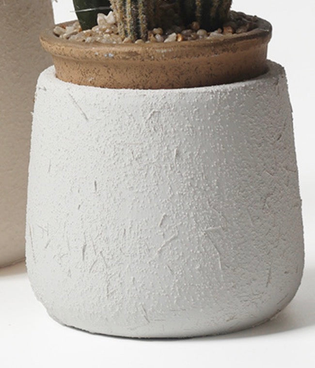 Tulip Terracotta - Small