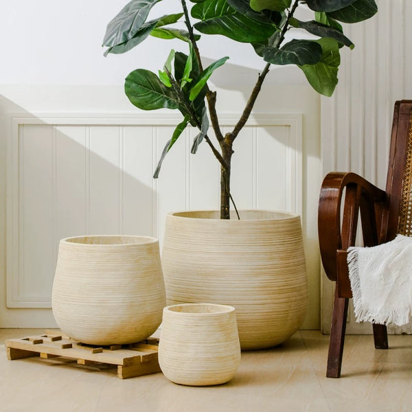 XL Stripes Tulip Pot