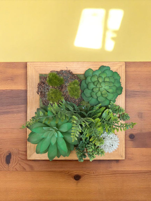 Second Chance: Artificial Succulents in Frame - Second Chance -  Tumbleweed Plants