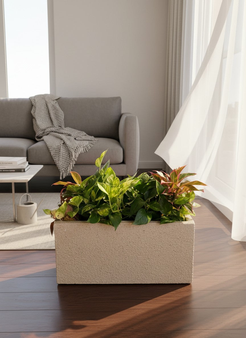 Second Chance: Songa planter box with plants