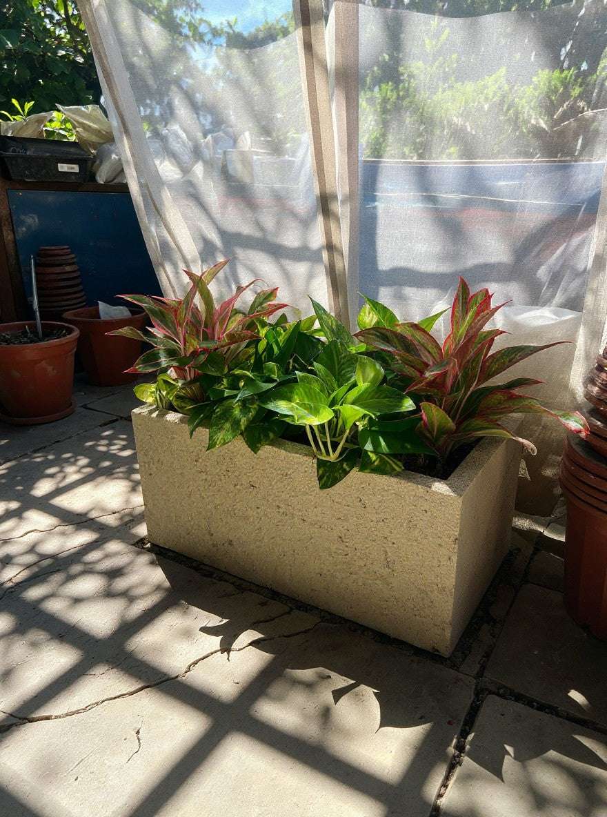 Second Chance: Songa planter box with plants